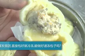 不醒发面团,直接包好就冷冻,能做好速冻包子吗?视频后有答案视频封面