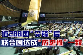 近200国“交锋”后，联合国达成“历史性”一致，美媒嗅出不寻常视频封面