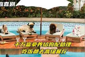 活得不如狗，顶级富婆养的狗嚣张无比，但社会给它上了一课视频封面