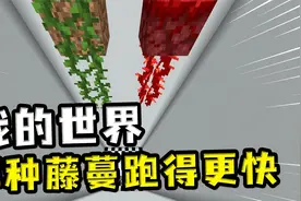 我的世界：哪种藤蔓爬得更快？下界藤蔓长得很快，但是龟兔赛跑了