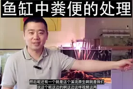 鱼缸中如何处理粪便视频封面