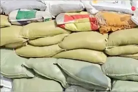 巢湖水位上涨，滨湖环湖大道附近在做应对措施，建立临时防护堤坝视频封面