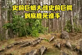 史前巨蟒和史前巨鳄的终极大战，究竟孰强孰弱？视频封面