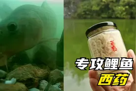西药钓鱼真的有那么厉害吗？水下测试揭露真相，实践证明真实有效视频封面