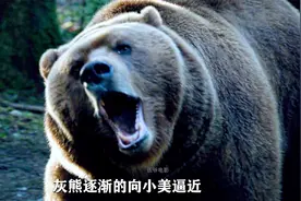 人熊大战！！！视频封面