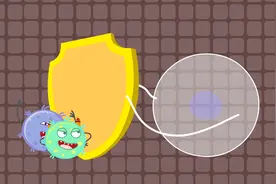 白细胞对人体有什么作用？