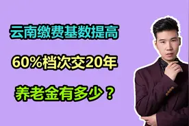 云南的社保最低缴费基数，提高至3770元，交20年能领多少养老金？视频封面