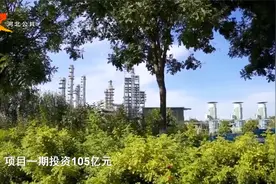 石家庄：石炼化绿色转型发展项目 打造高质量发展新样板视频封面