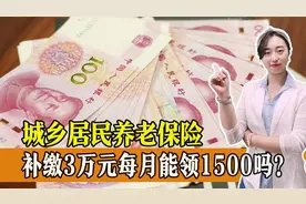 一次性补缴3万元的城乡居民养老金，每月就能领1500元退休金？视频封面
