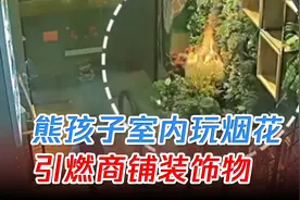 熊孩子在室内玩烟花，不幸火星将商户内装饰物点燃，商铺付之一炬视频封面