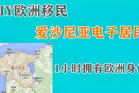 爱沙尼亚电子身份证详解：爱沙尼亚电子公民是什么？安全吗？(一)