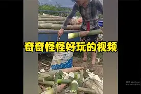 tiktok上观看数以百万计的视频享受和放松 奇怪的令人满意的视频视频封面