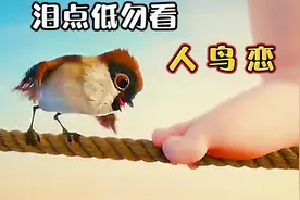 女孩一生全在绳索上，小鸟好奇飞来，却为她操心一辈子，催泪短片视频封面
