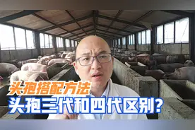 头孢搭配好，效果就是好，三代头孢与四代头孢的区别是什么？视频封面