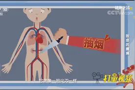 抽烟是破坏血管的第一把尖刀！一段动画了解危害有多大|健康之路视频封面