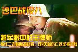 越军眼中的王牌师，被红二连截断退路后，仅7天就伤亡过半被打残视频封面
