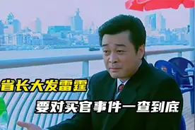 我本英雄：赵安邦勃然大怒，要对古龙县事件一查到底视频封面