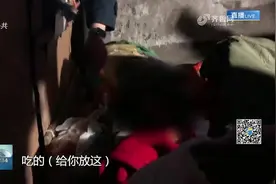 -17℃的夜晚,济南救助站连夜巡回救助，为流浪人送去寒冬中的温暖视频封面