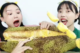 俩闺蜜徒手掰开“超大菠萝蜜”，色泽金黄味芬芳，馋相超逗视频封面