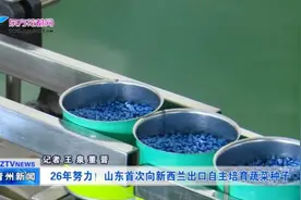 26年努力！山东首次向新西兰出口自主培育蔬菜种子视频封面