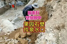 果园石壁寻找泉水口，原来在石壁缝隙中视频封面