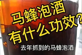 马蜂泡酒有什么功效视频封面
