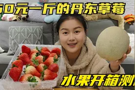 钱贝的水果开箱评测，网购99元2斤的丹东草莓，味道到底怎么样视频封面