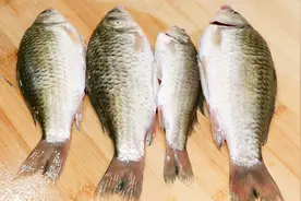 鲫鱼汤正确做法，教你一招，保证吃不到一根鱼刺，汤鲜浓白无腥味视频封面