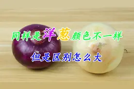 同样是洋葱，原来黄皮和紫皮区别这么大，弄明白了再买也不迟！