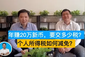 年赚20万新币，要交多少税？个人所得税如何减免？视频封面