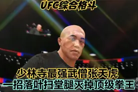 少林寺最强武僧张天虎一招落叶扫堂腿灭掉世界顶级拳王！太强！视频封面