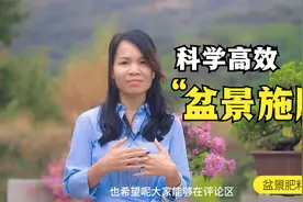 盆景培养过程中施肥至关重要，浅谈如何科学高效使用肥料！视频封面