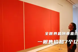全世界最昂贵的直线！一条售价超7个亿！视频封面