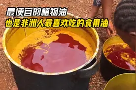 最便宜的植物油，也是非洲人最喜欢吃的一种食用油视频封面