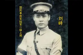 “猪将军”刘峙视频封面