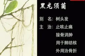 神农架里疑似发现野人毛发 专家却检测出来是真菌 别名为树头发视频封面