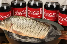 用可乐炖鱼，汤鲜肉香，老人小孩都喜欢吃！