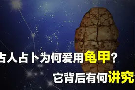 古人占卜为何爱用龟甲？背后有何讲究？占卜前又需要做什么准备？视频封面