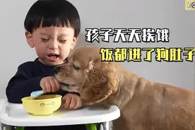 狗狗每天从孩子嘴里抢食，气得孩子哇哇大哭，原来都是宝妈惯的视频封面