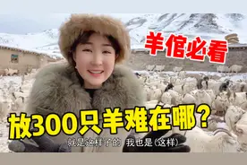 放羊是脑力还是体力活？新疆牧区羊倌必备技能：300只羊一眼分辨视频封面