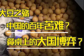 大豆之死1：技术外流，革命浪潮兴起，中国百年兴衰史拉开序幕视频封面
