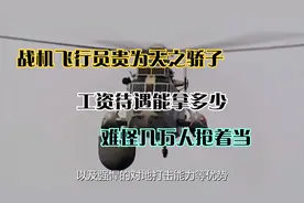 战机飞行员贵为天之骄子，工资待遇能拿多少？难怪几万人抢着当视频封面