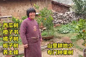 河南农村大妈不出门打工在家种果树养土蜂，一年也不少挣钱真不赖视频封面