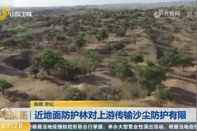 沙尘是如何形成，有了防护林为何还会出现沙尘天气？听听专家解读视频封面