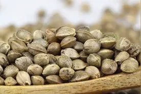 天然“通便茶”在这里，没事喝点，改善便秘，口臭也消失了！视频封面