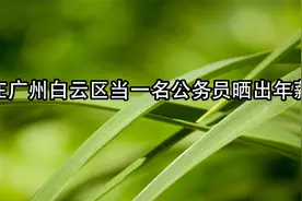 在广州白云区当一名公务员晒出年薪【转载】视频封面