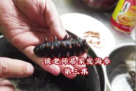 国家级评委泡发海参的N个小知识（第三集）
