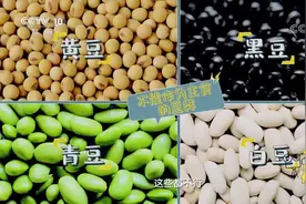 豆类可以当主食吗？专家：这类不可以，吃多了损伤肝肾|健康之路视频封面