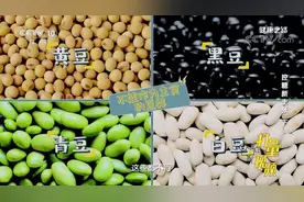 豆类可以当主食吗？专家：这类不可以，吃多了损伤肝肾|健康之路视频封面