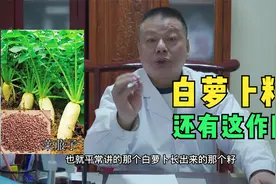 白萝卜的种子也是药：消食除胀莱菔子视频封面